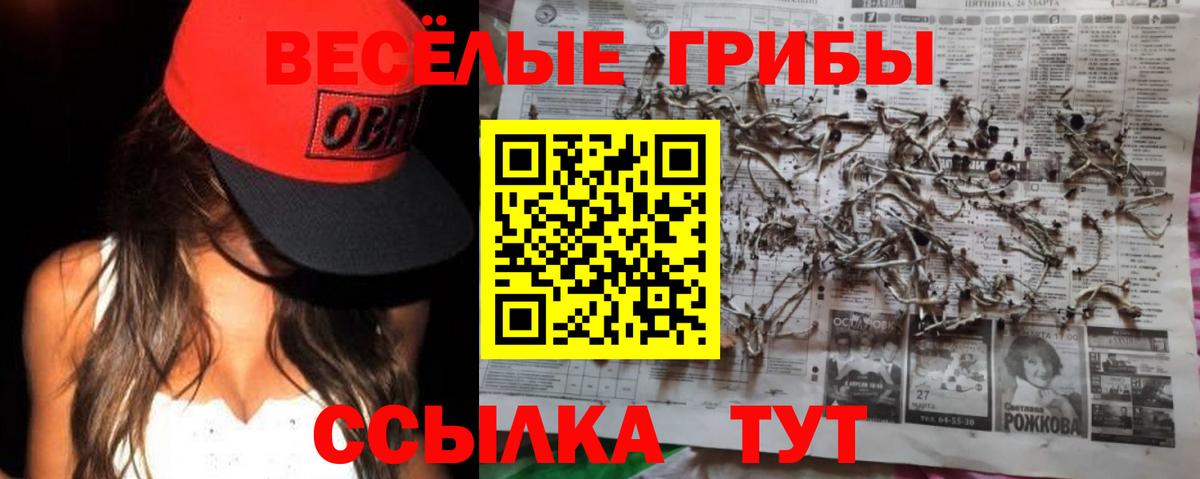Галлюциногенные грибы Psilocybine cubensis Мончегорск