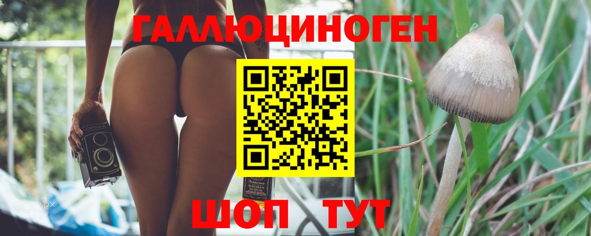 Псилоцибиновые грибы мицелий  Галлюциногенные грибы Magic Shrooms  Вход с VPN  Мончегорск 